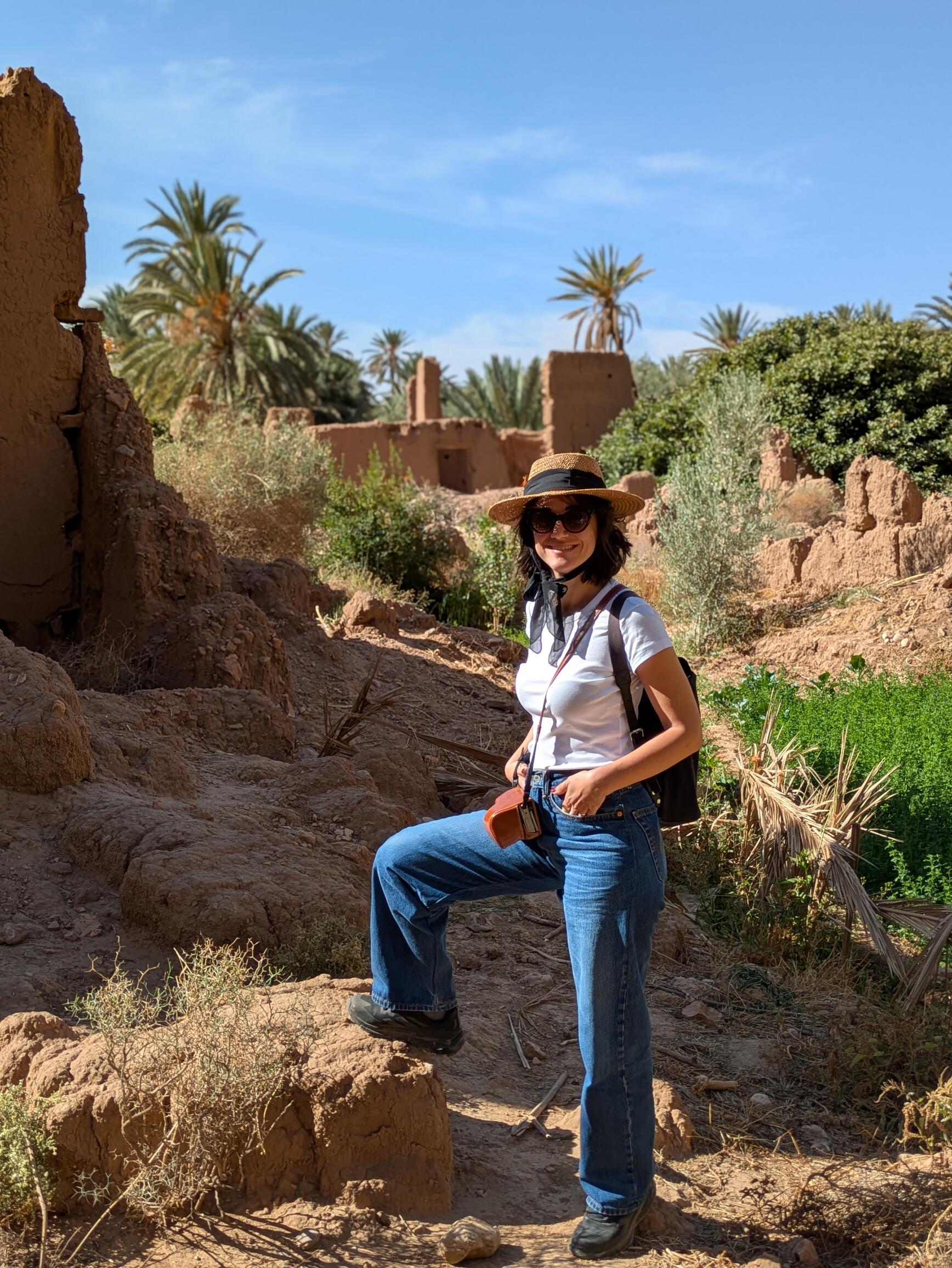 A walk in the palm groves